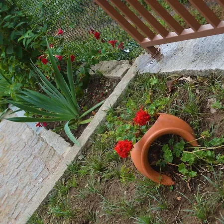 Hébergement de vacances Casa Do Ribeiro Sever do Vouga