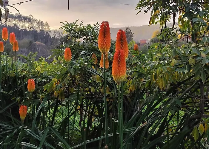 Semesterbostad Casa Do Ribeiro Sever do Vouga