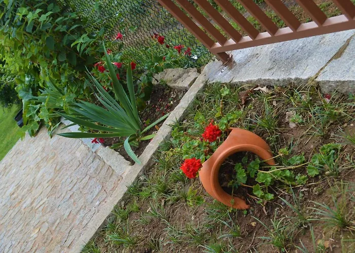 Semesterbostad Casa Do Ribeiro Sever do Vouga