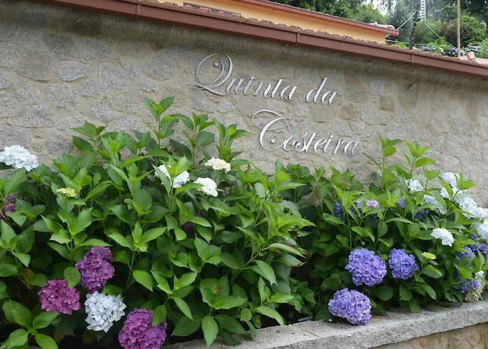 Casa Do Ribeiro Semesterbostad Sever do Vouga